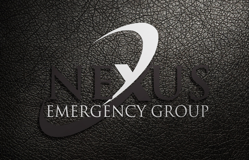 Logo Design by Dulavai for The Bonanno Group, Inc. | Design #9974716