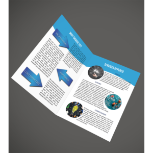 Diseño de Flyer por Graphicelements para este proyecto | Diseño: #10074257