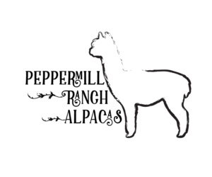 Logo Design by Darklanser