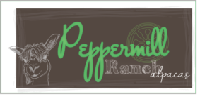 Logo Design by musebaby