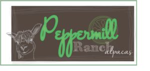 Logo Design by musebaby for Peppermill Ranch Alpacas | Design: #10150744