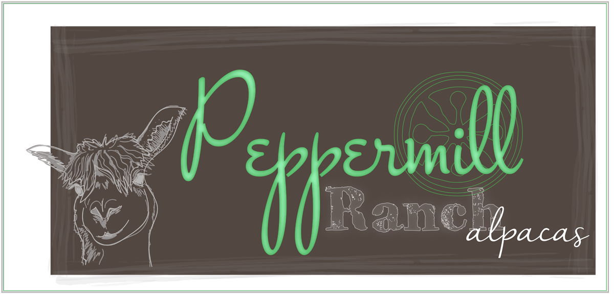 Logo Design by musebaby for Peppermill Ranch Alpacas | Design #10150745