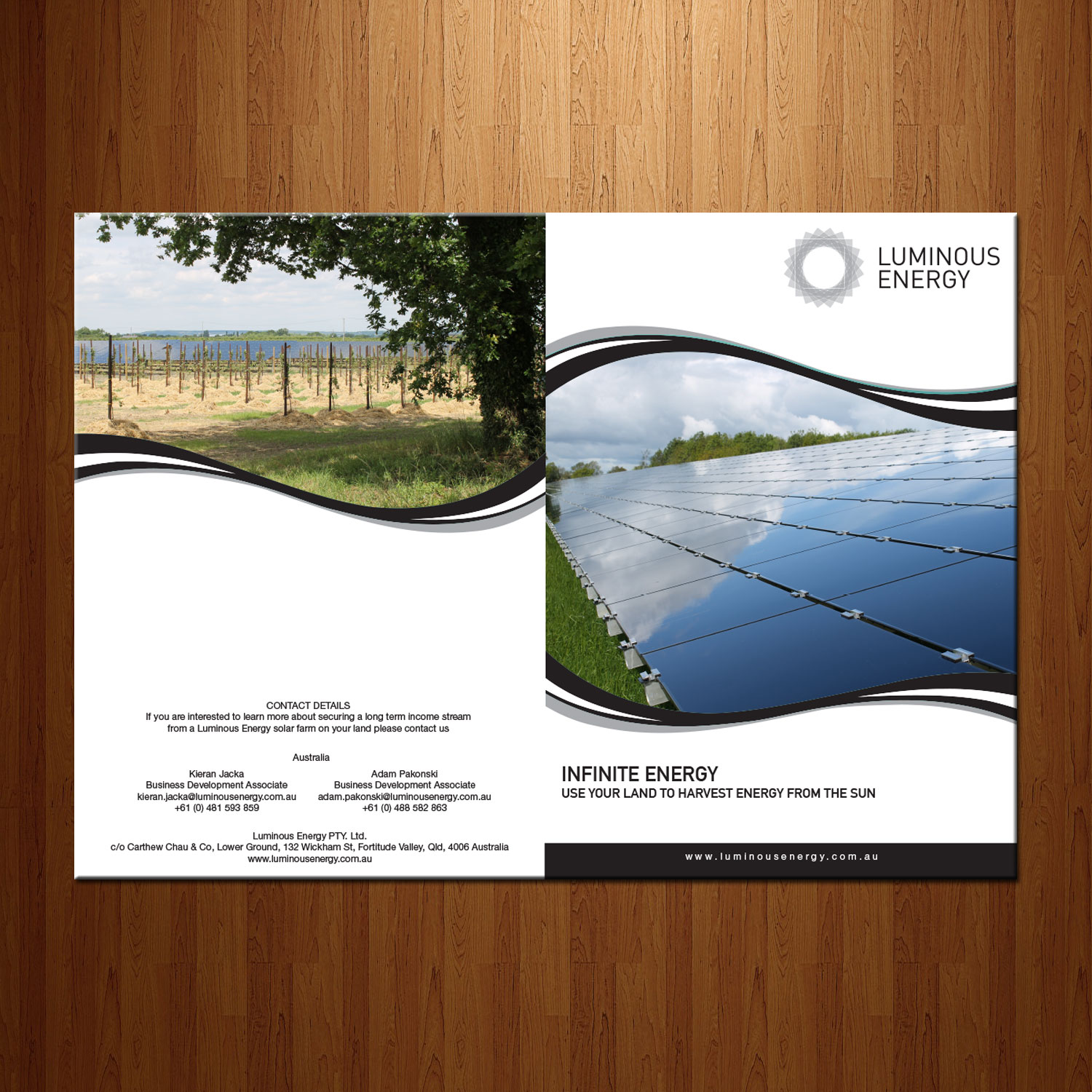 Diseño de Brochure por theblueart para Luminous Energy Ltd | Diseño #9982219