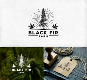 Logo Design by concoronco for BLACK FIR FARMS | Design: #10104921