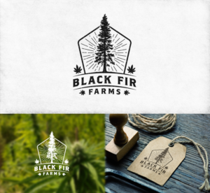 Logo Design by concoronco