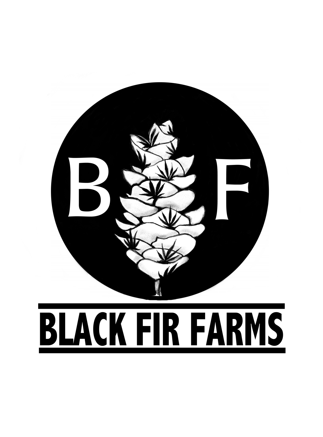 Logo-Design von americanfuzzhead für BLACK FIR FARMS | Design #10263665