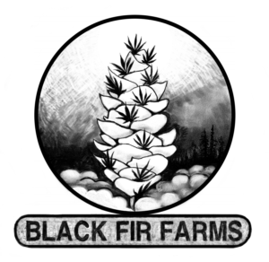 Logo Design by americanfuzzhead for BLACK FIR FARMS | Design #10263678