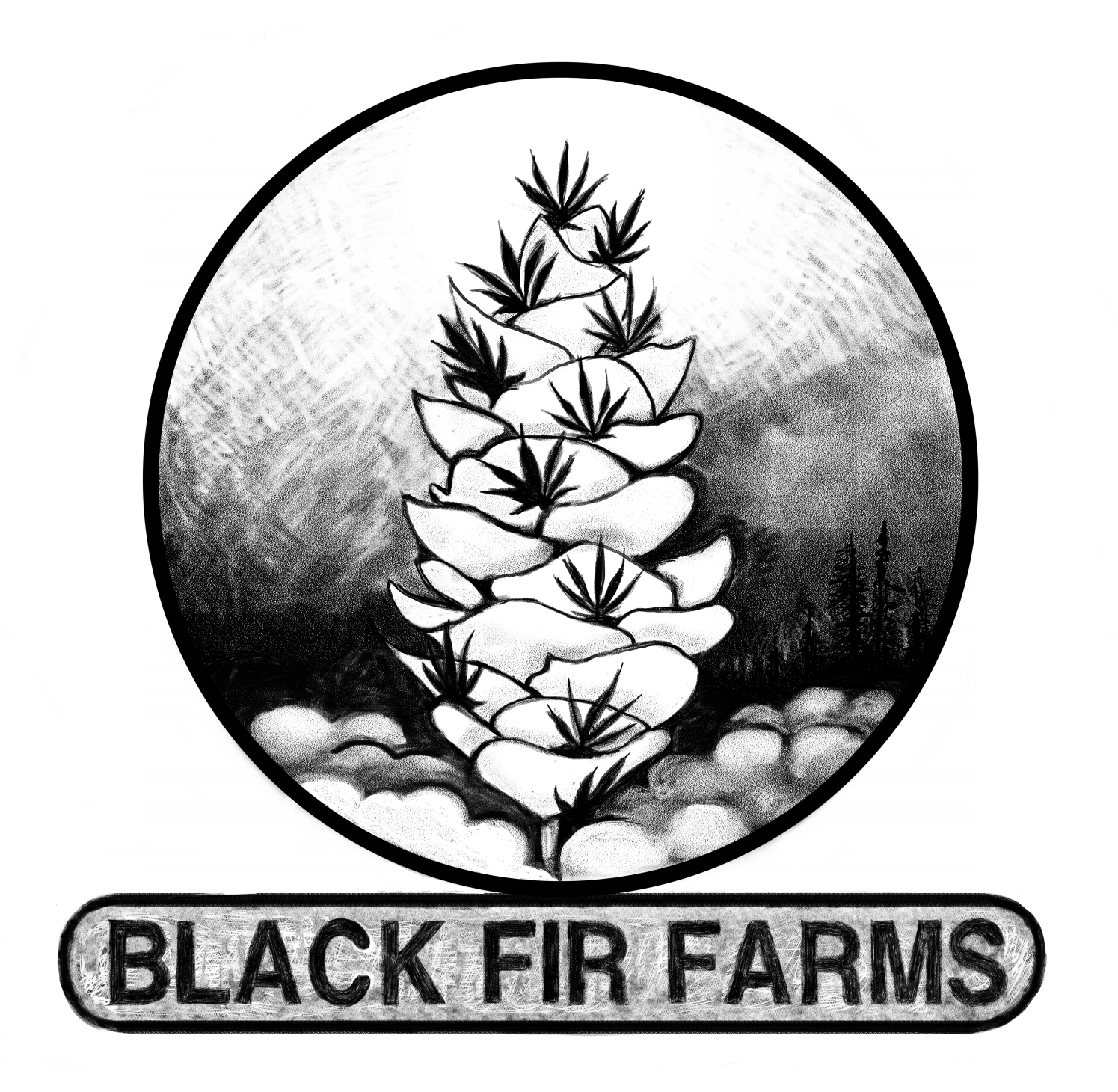 Logo Design by americanfuzzhead for BLACK FIR FARMS | Design #10263680