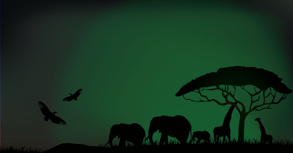 Icon Design by eayeri for Virtual Marketing Sweden AB | Design #10181533