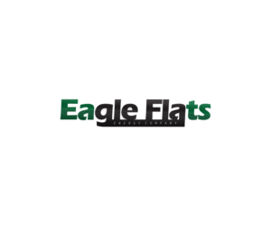 Logo Design by ironymp3 for Eagle Flats Energy Company | Design: #9997092