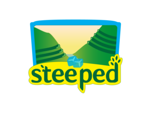 Logo Design by equiDesign