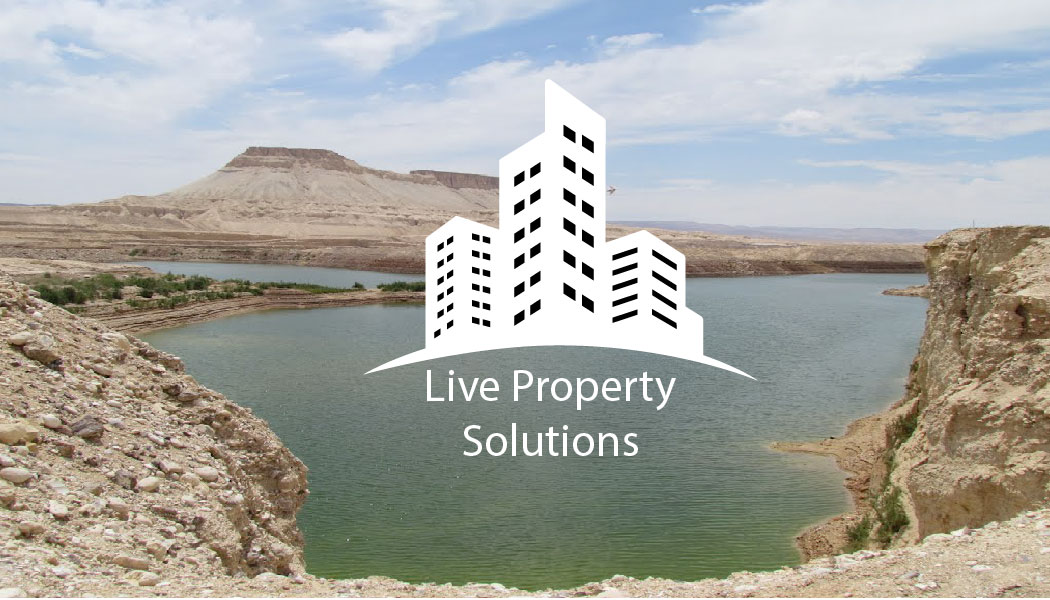 Design de Logo par creativedesigner pour Live Property Solutions | Design #10140437