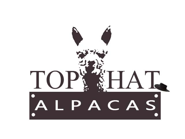 Diseño de Logo por hashan madu para Top Hat Alpacas LLC | Diseño #2149359