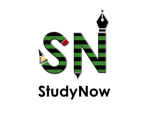 Logo Design by musemaster