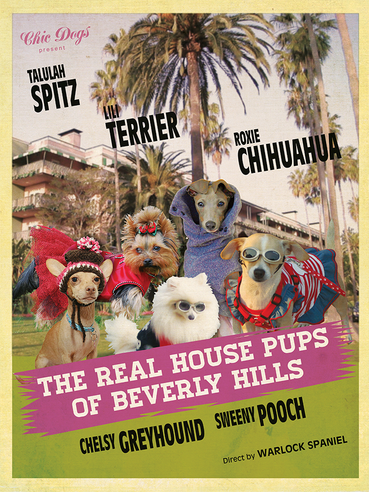 Poster Design by Karen Gameiro for this project | Design #10082989