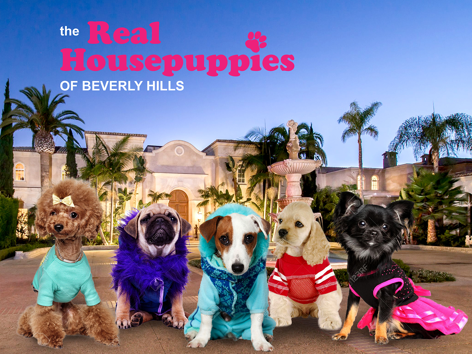 Poster Design by senja for this project | Design #10083502