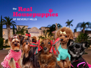 Poster Design by senja for this project | Design: #10101750