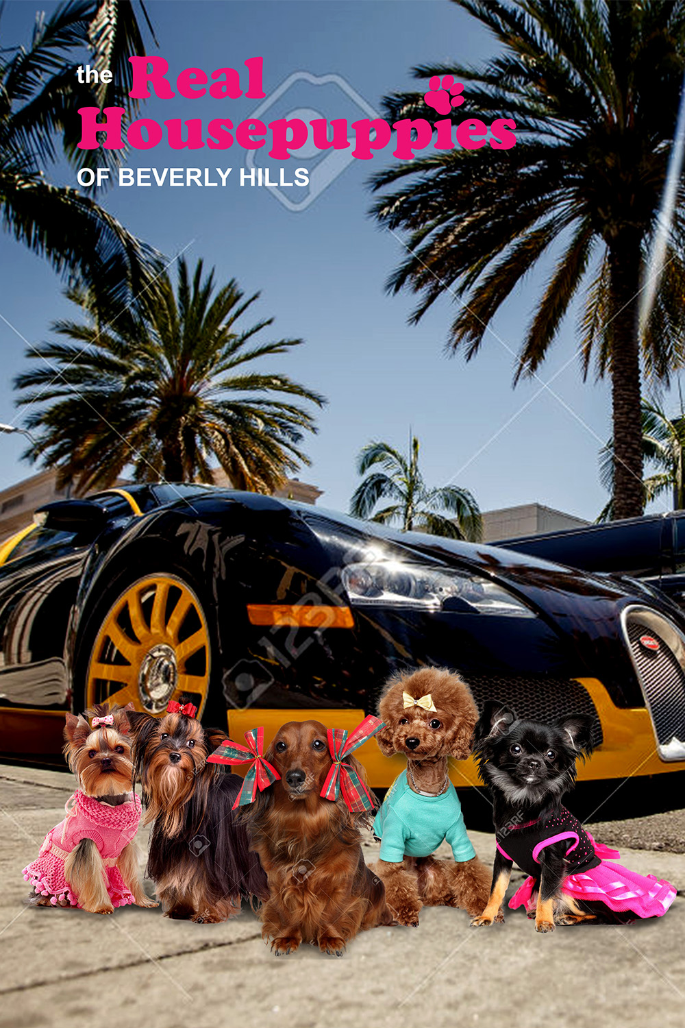 Design de Poster par senja pour ce projet | Design #10101751