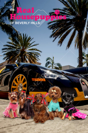 Indie Film Poster featuring fashionista puppies | Poster Design by senja