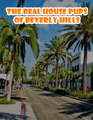 Poster Design by Best Design Hub for this project | Design: #10161624