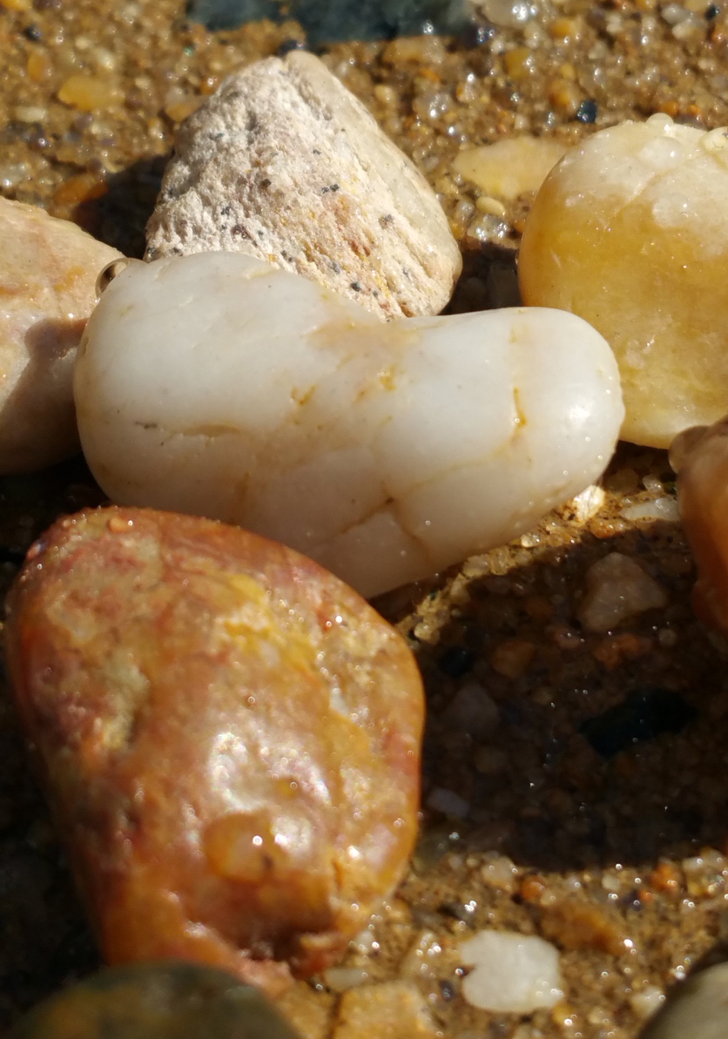 Photography by jazzyrosez for DesignCrowd (Community Contests) | Design #10115385