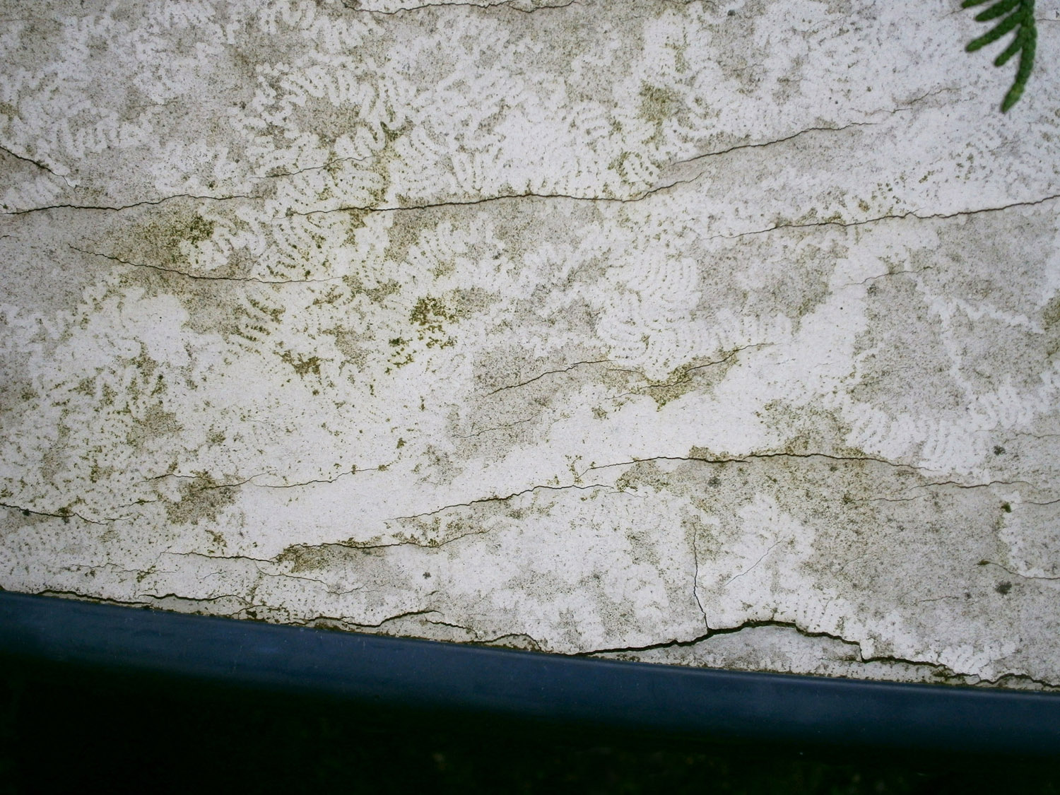 Fotografie von bilder für DesignCrowd (Community Contests) | Design #10087732