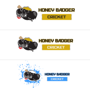 Logo Design by Techno Design