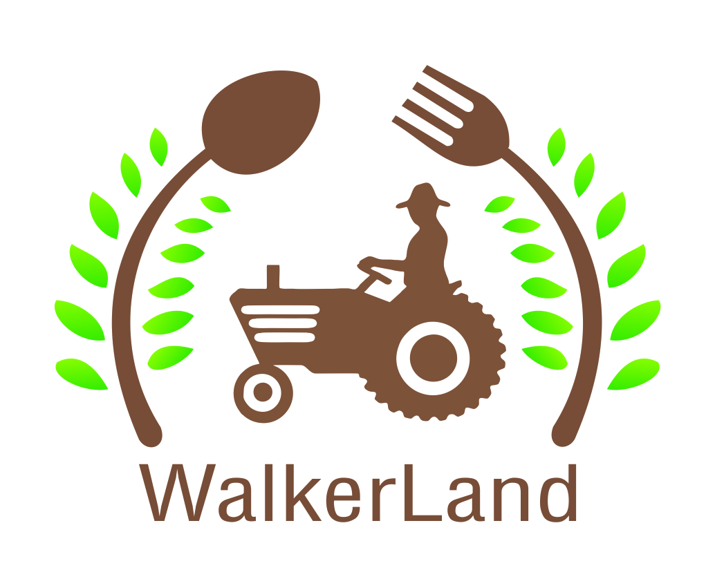 Logo Design by leo for this project | Design #10196683