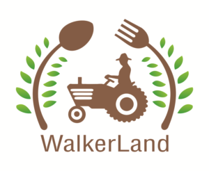 Logo Design by leo for this project | Design: #10196683