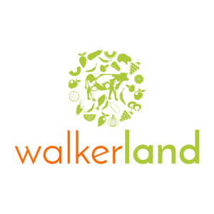 Logo Design by Sintegra for this project | Design: #10123997