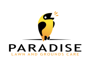 Logo Design by cicoskis
