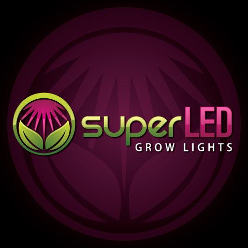 Logo Design by raigraphics for this project | Design #446356