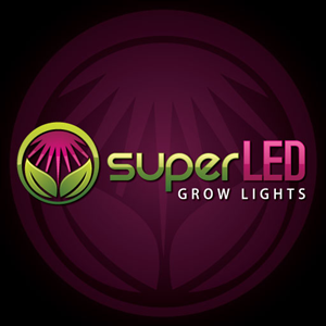 Design de Logo par raigraphics pour ce projet | Design : #446356