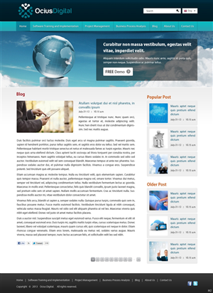 Wordpress Design by pb for Ocius Digital | Design: #2171995