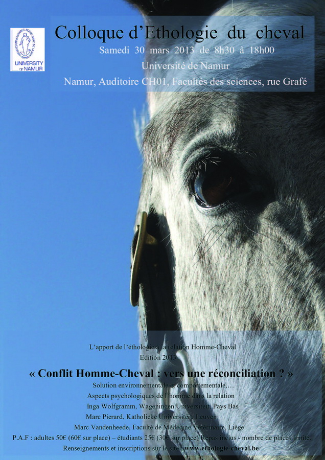 Poster Design by aleksandra baranowska for Equinessence | Design #2256319