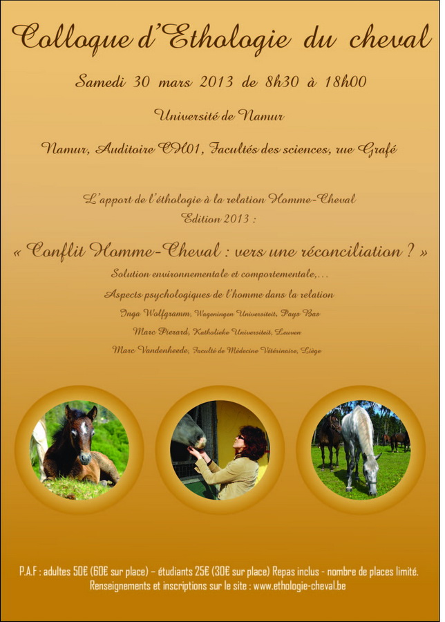 Poster-Design von aleksandra baranowska für Equinessence | Design #2256322