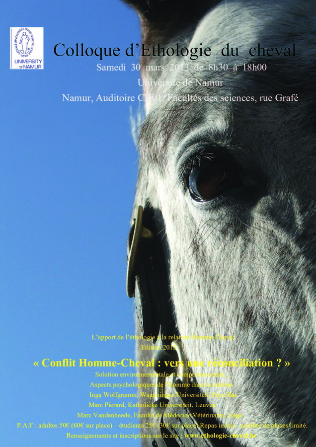 Poster Design by aleksandra baranowska for Equinessence | Design #2256324