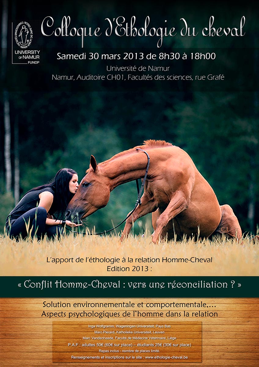 Poster Design by jshan for Equinessence | Design #2202717