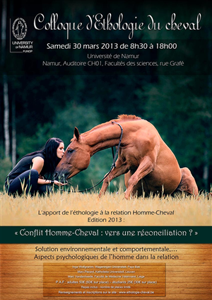 Poster Design by jshan for Equinessence | Design #2202717