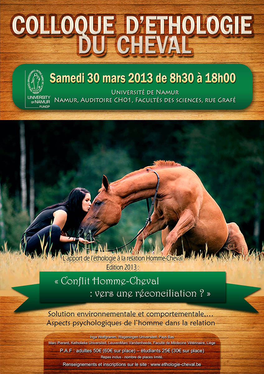 Poster Design by jshan for Equinessence | Design #2250871