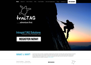 Web Design by TechWise for Core Applications | Design: #2160719