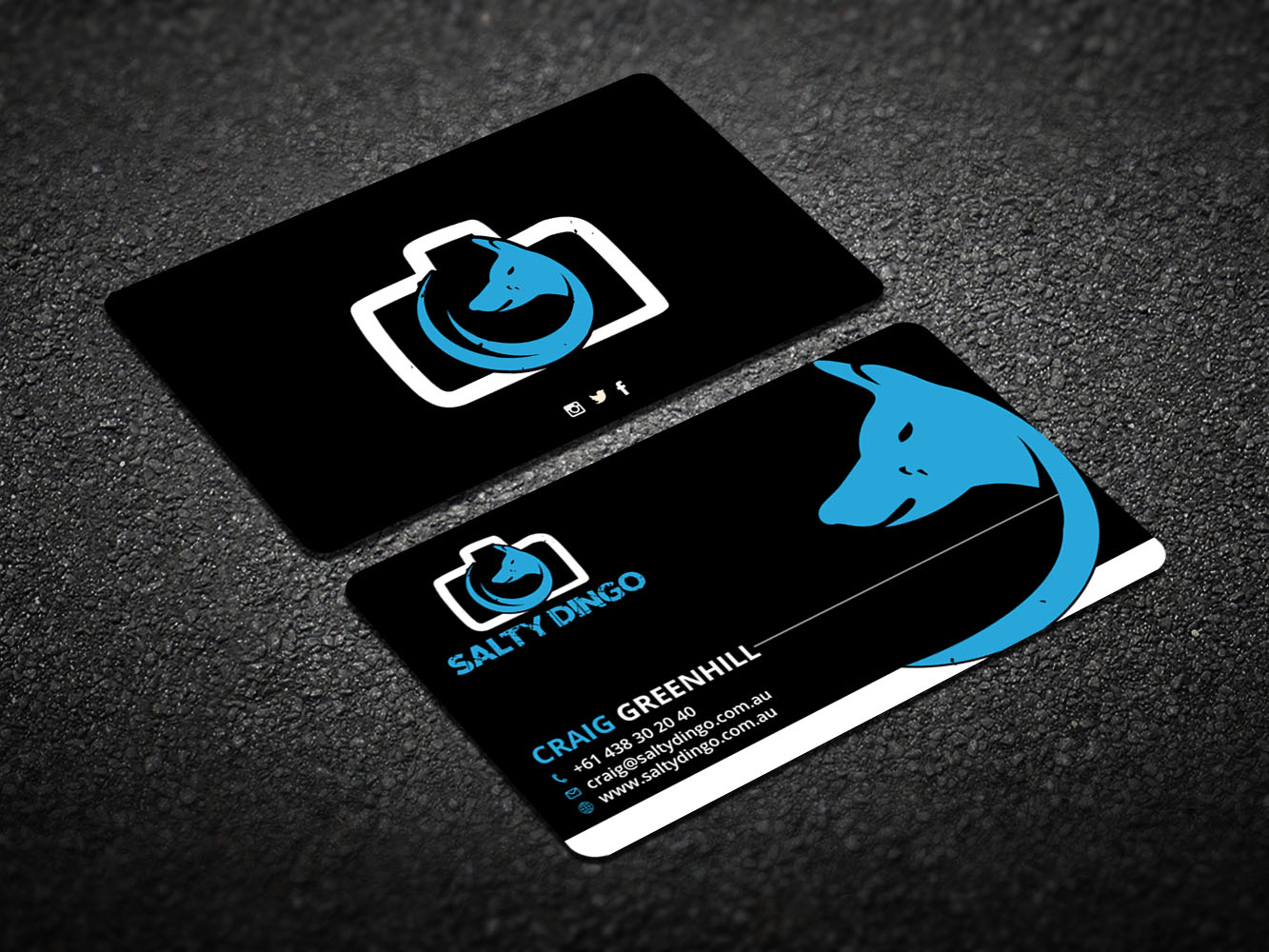 Business Card Design by Verified artistry for Salty Dingo | Design #10105762