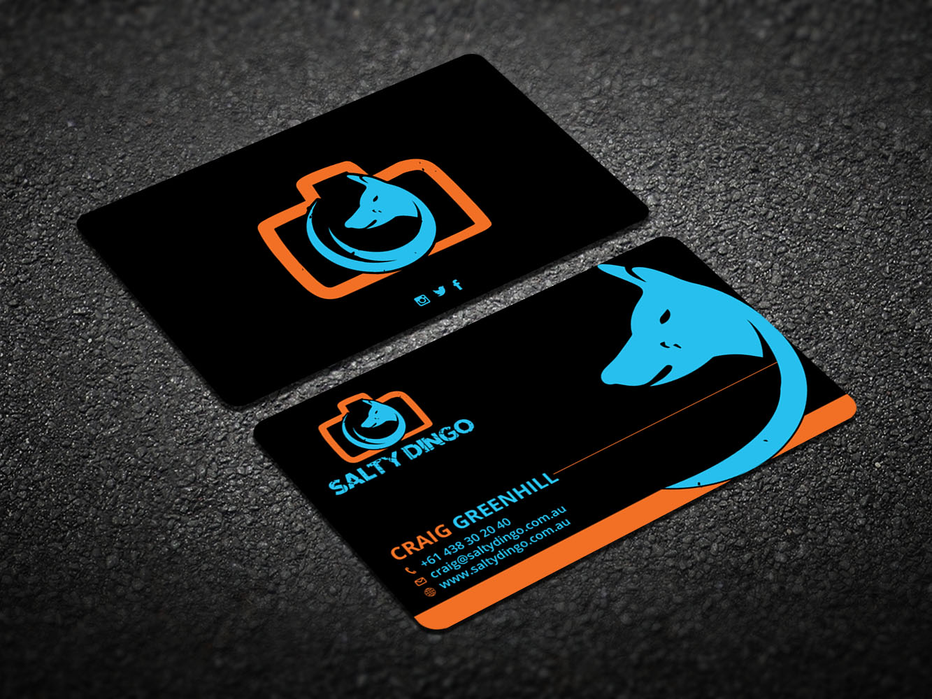 Design de Carte de Visite par Verified artistry pour Salty Dingo | Design #10105764