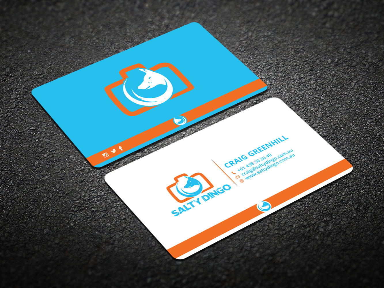 Design de Carte de Visite par Verified artistry pour Salty Dingo | Design #10105765