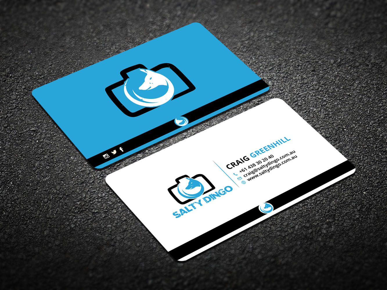 Visitenkarten-Design von Verified artistry für Salty Dingo | Design #10105768