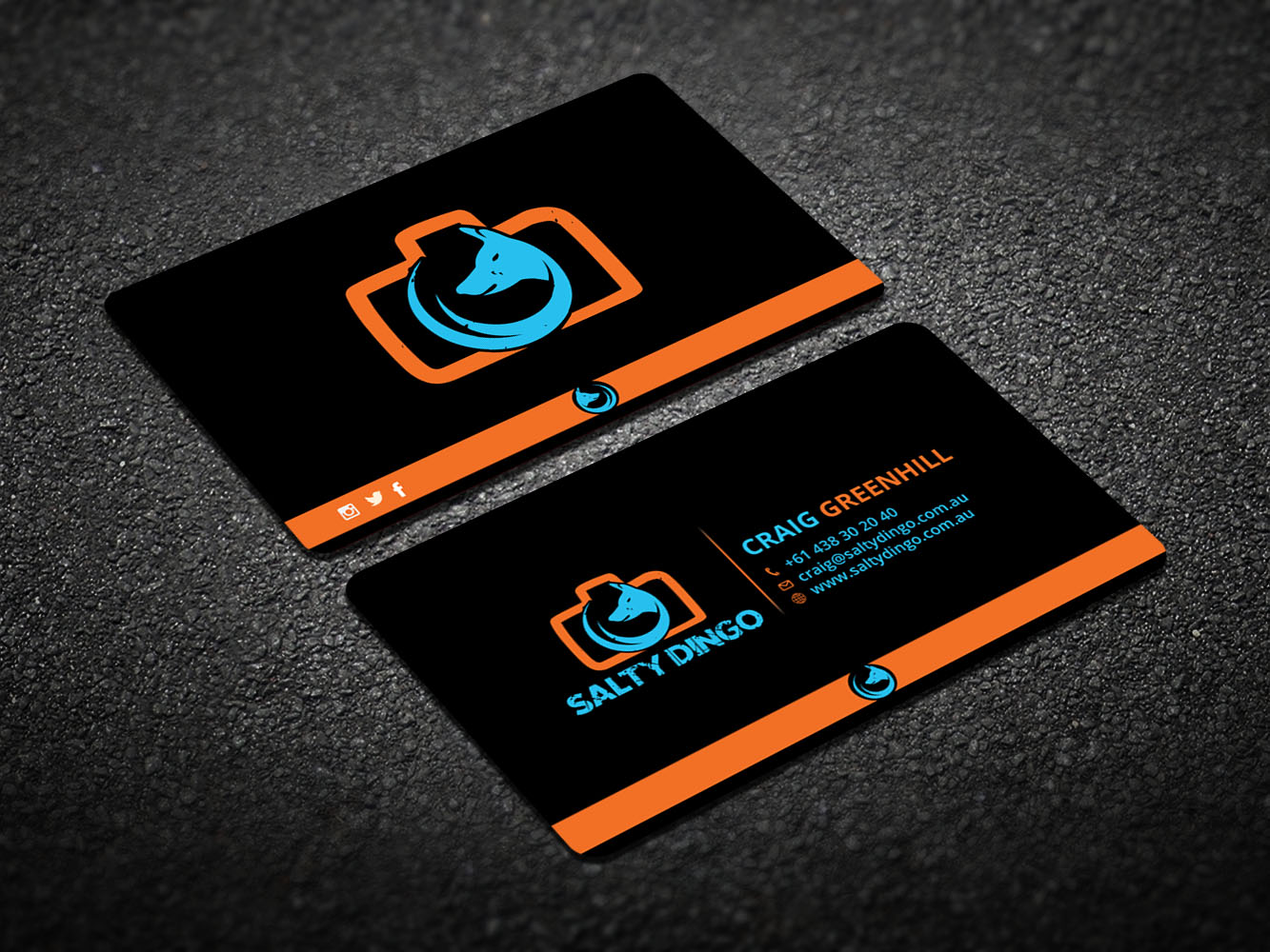 Visitenkarten-Design von Verified artistry für Salty Dingo | Design #10105774