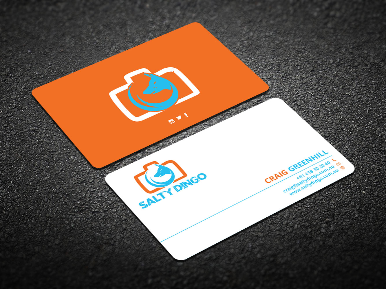 Business Card Design by Verified artistry for Salty Dingo | Design #10105777