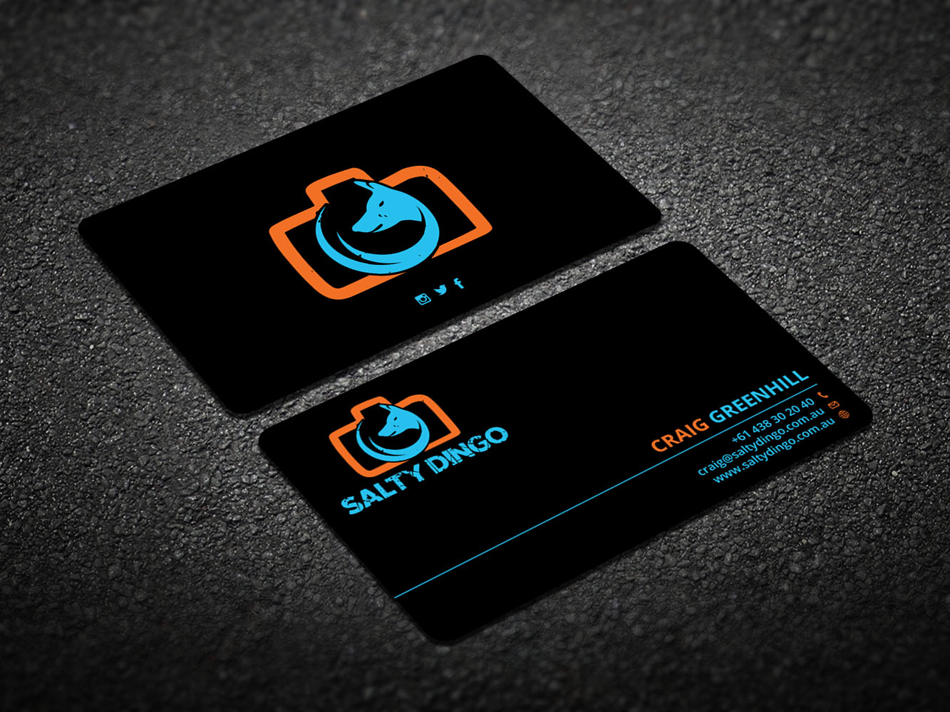 Design de Carte de Visite par Verified artistry pour Salty Dingo | Design #10105780