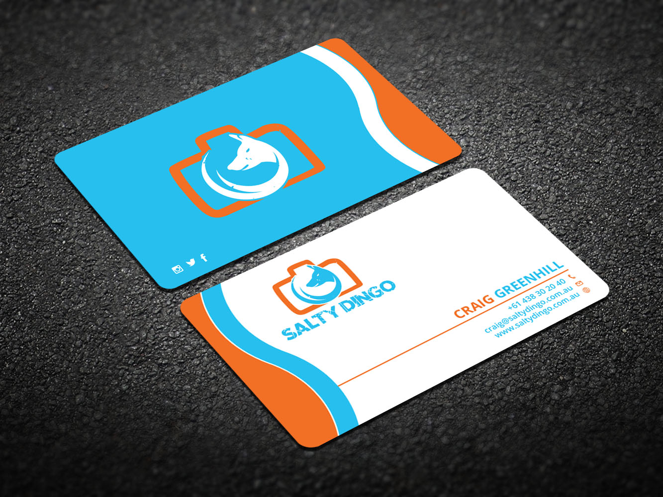 Design de Carte de Visite par Verified artistry pour Salty Dingo | Design #10105781