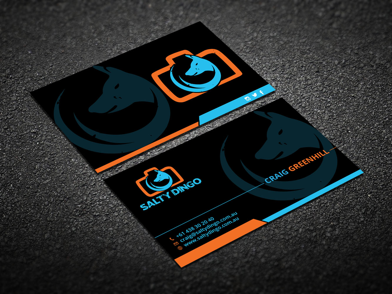Business Card Design by Verified artistry for Salty Dingo | Design #10105783